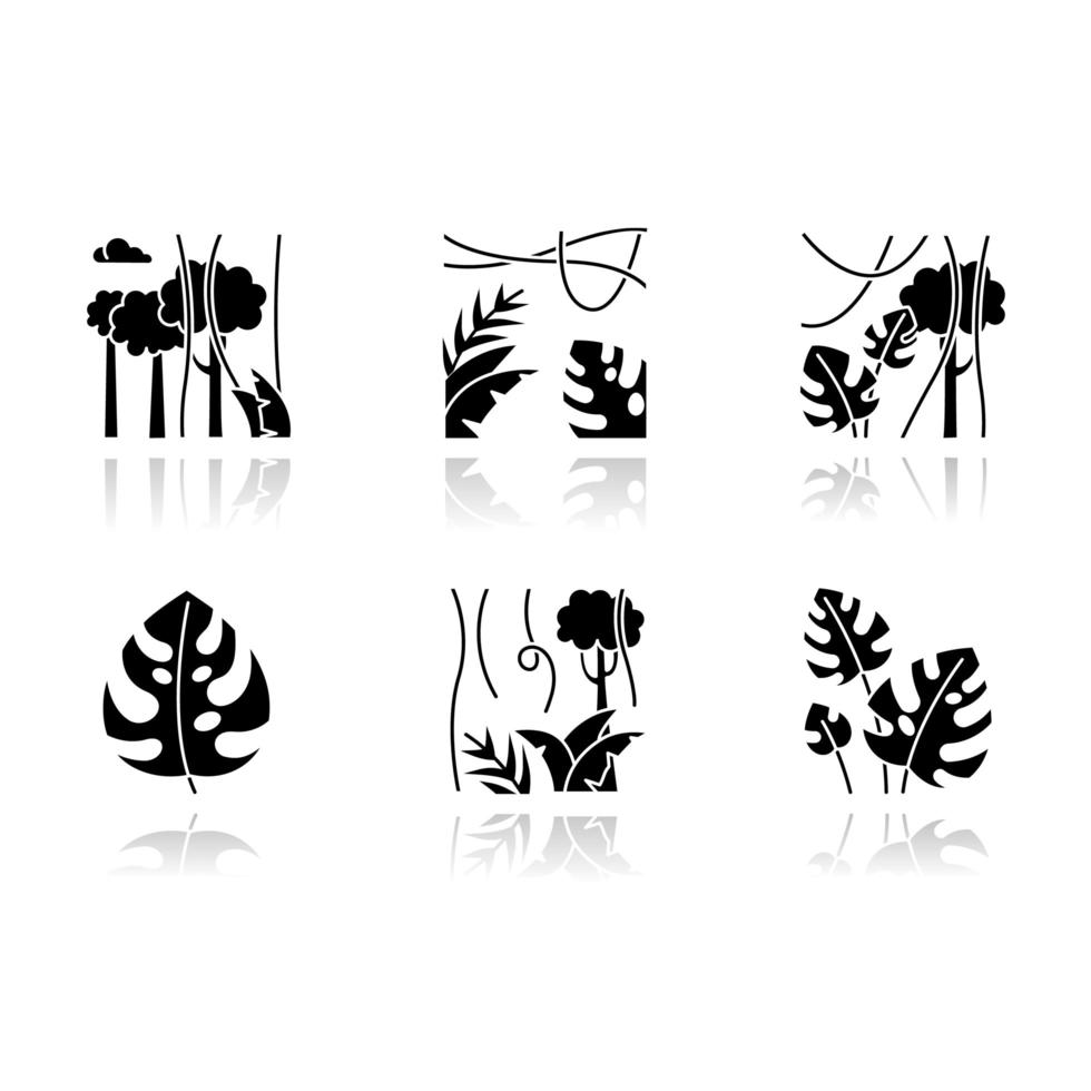 Plantes de la forêt tropicale ombragée icônes de glyphe noir définies. vignes de forêt à feuilles persistantes. usine de fromage suisse. jungle indonésienne. découverte de la nature bali. explorer la flore tropicale. illustrations vectorielles isolées vecteur