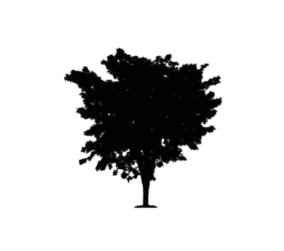 arbre, silhouette, vecteur, illustration vecteur