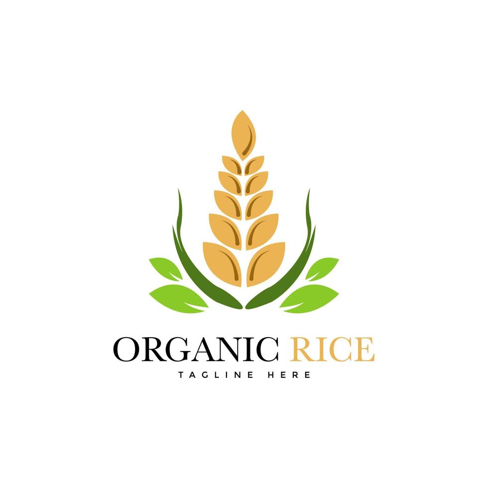 création de logo de bannière de produit naturel biologique de riz premium vecteur