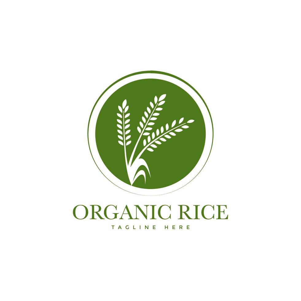 création de logo de bannière de produit naturel biologique de riz premium vecteur