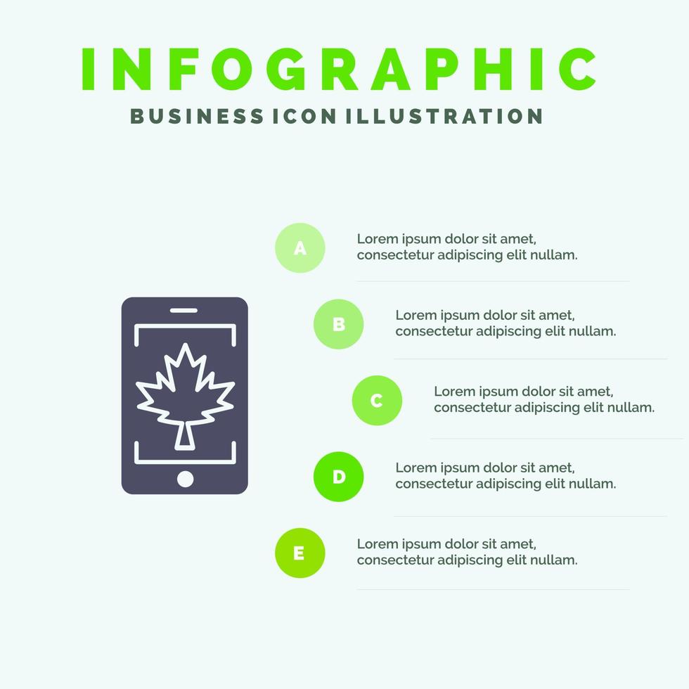 cellule mobile canada feuille solide icône infographie 5 étapes présentation fond vecteur