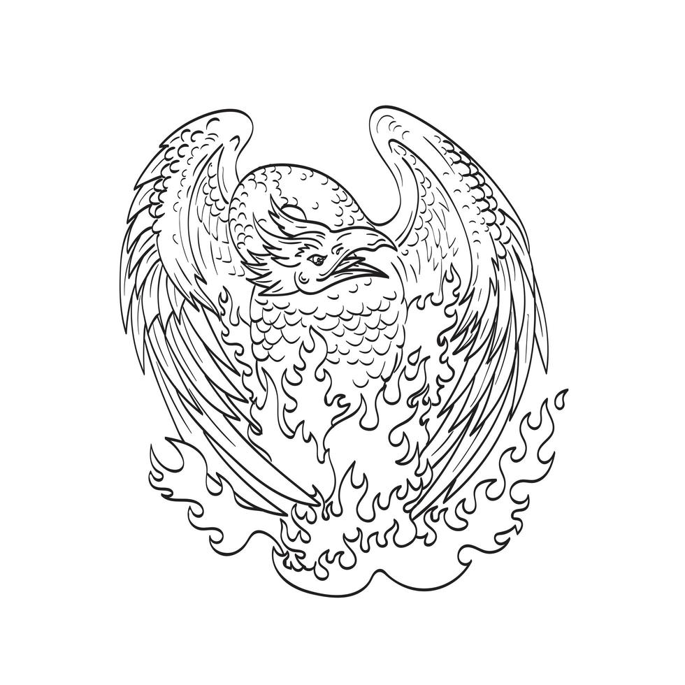 Phoenix oiseau mythologique se régénère sur le feu art de la ligne de front dessin noir et blanc vecteur
