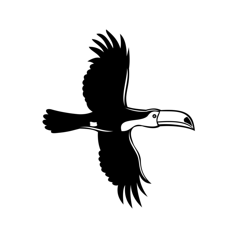 toco toucan ramphastos toco toucan commun ou toucan géant volant pochoir style rétro noir et blanc vecteur