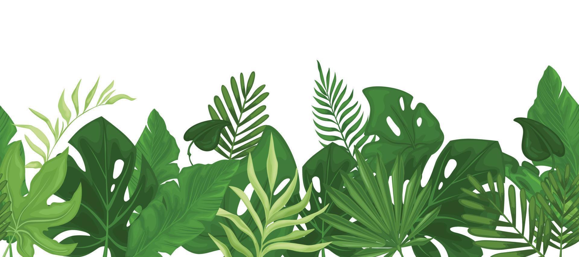 motif tropical de bordure transparente avec des feuilles de palmier. vecteur