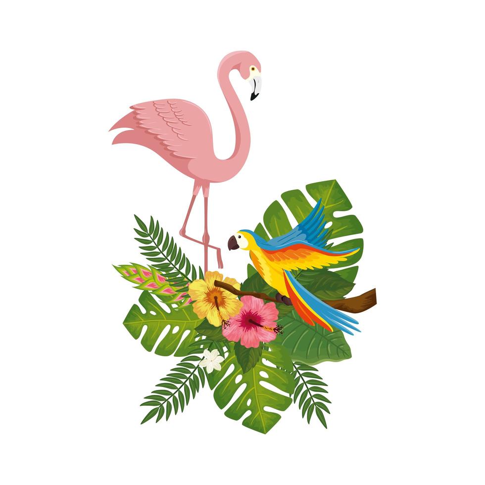 flamant rose avec perroquet avec fleurs et feuilles vecteur