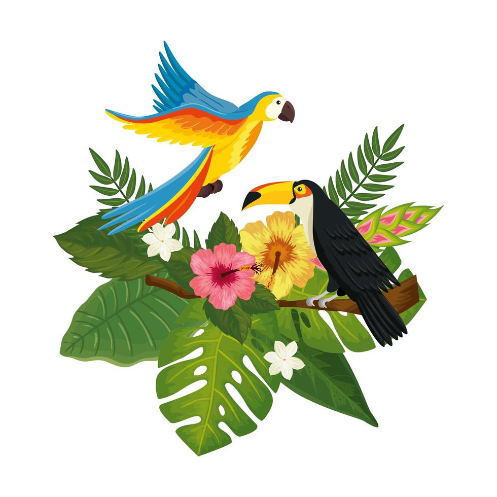 perroquet avec toucan et feuilles nature vecteur