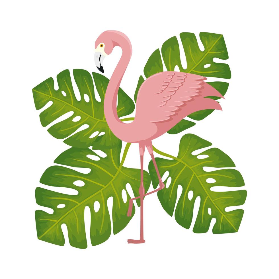 flamant rose animal avec feuilles nature vecteur