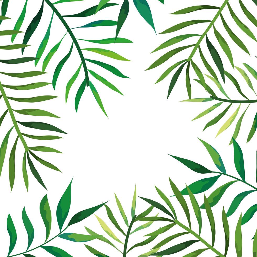 cadre de branches avec icône isolé de feuilles vecteur