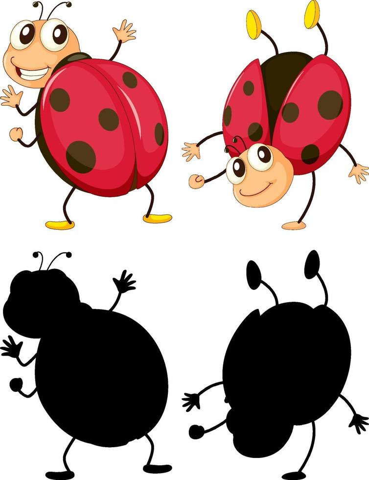 coccinelle en deux positions avec sa silhouette sur fond blanc vecteur