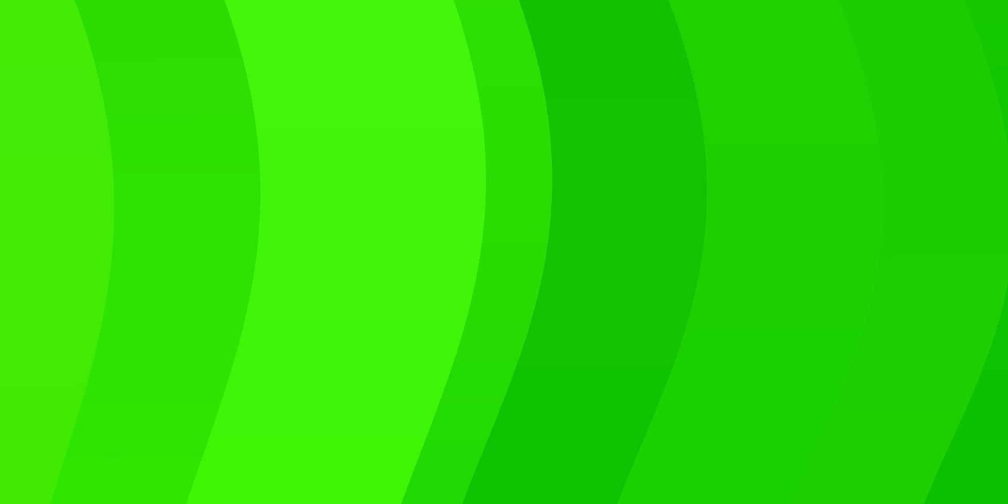 disposition de vecteur vert clair avec des courbes.