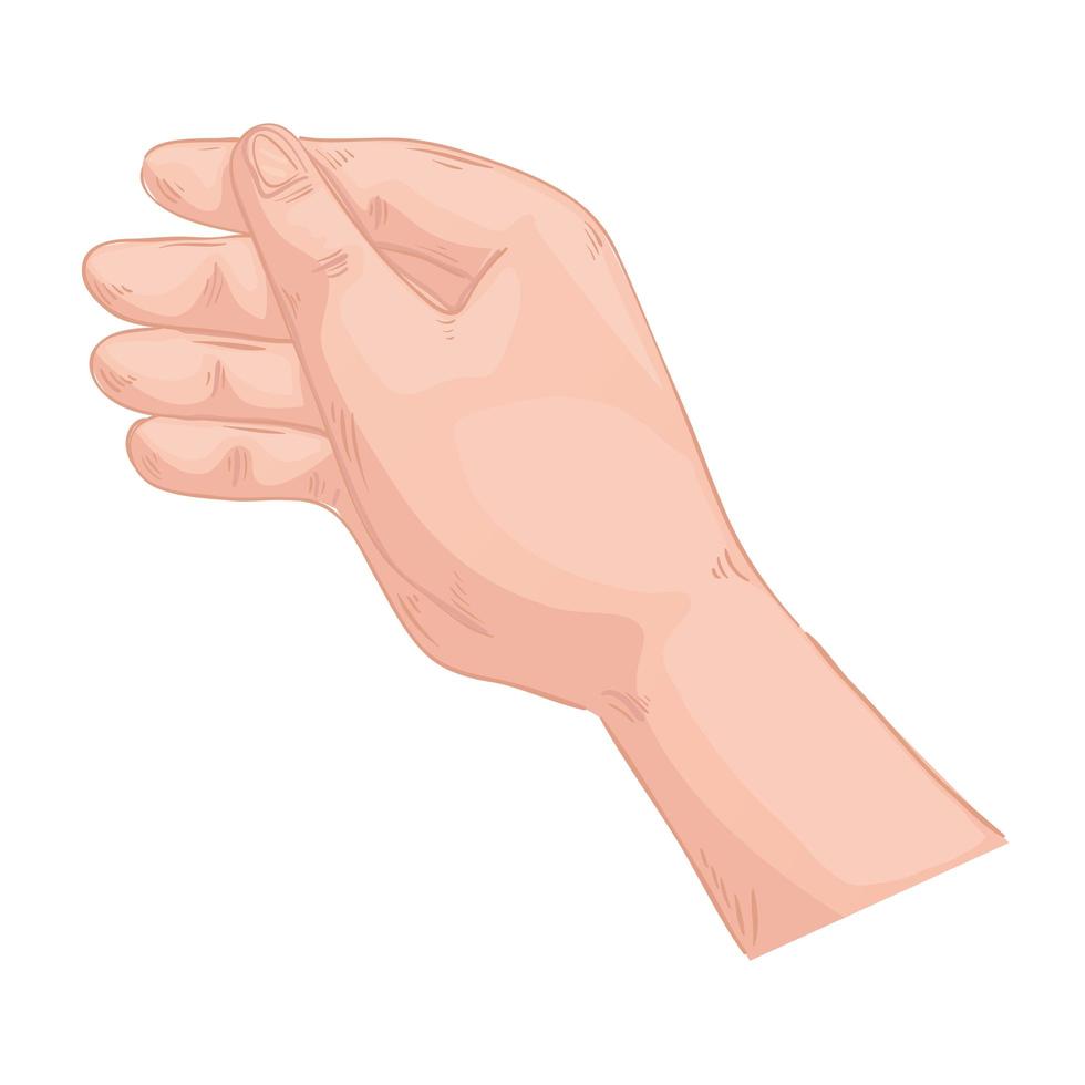 main humaine tenant symbole icône isolé vecteur