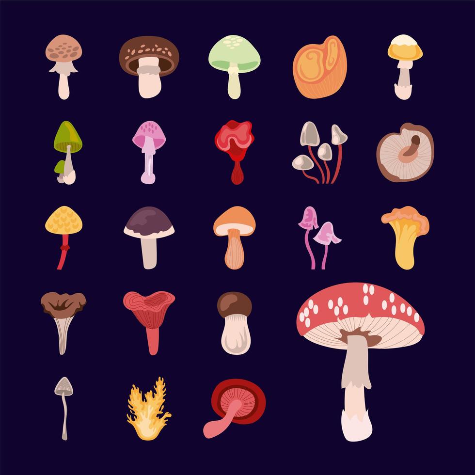 jeu d'icônes de champignon et champignon vecteur