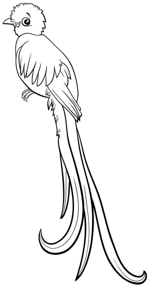 dessin animé quetzal oiseau personnage animal comique page de livre à colorier vecteur