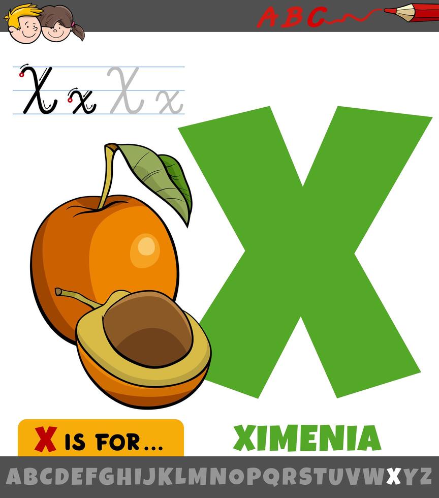 feuille de calcul lettre x avec fruit de ximenia de dessin animé vecteur