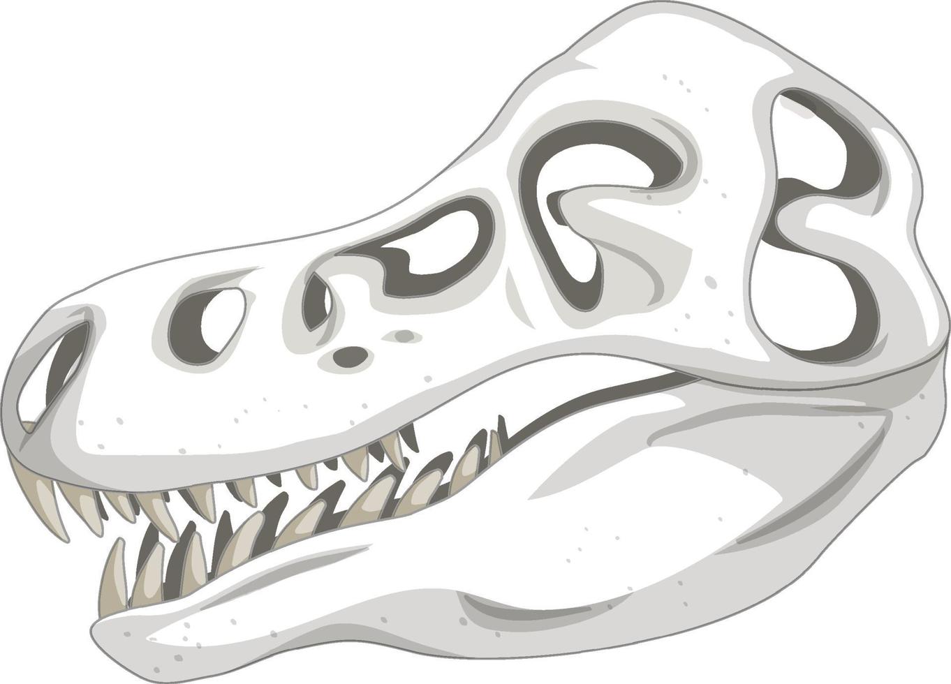 squelette de dinosaure sur fond blanc vecteur