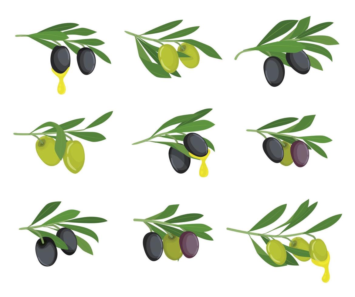 jeu d'icônes plat olives vecteur
