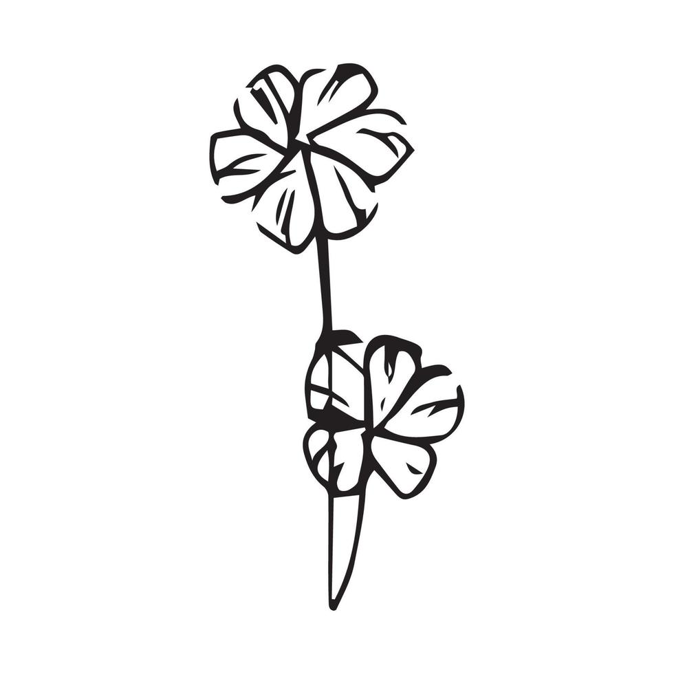 fleurs dessinées à la main pour la décoration. dessin au trait fleurs dessinées à la main dans un style vintage vecteur