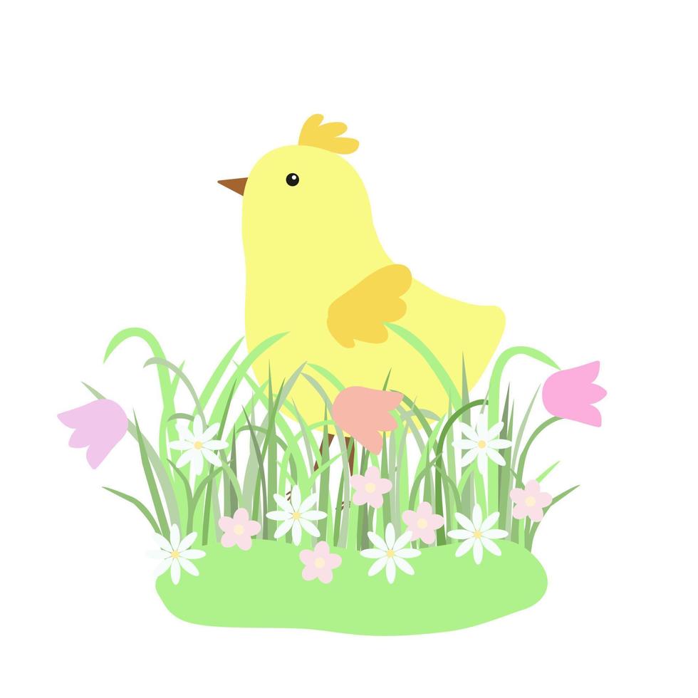 composition florale de pâques avec poulet jaune mignon, herbe verte au début du printemps avec des fleurs, illustration vectorielle de style plat pour le décor de fête de printemps, cartes, papier cadeau, bannières, conception de sites Web vecteur