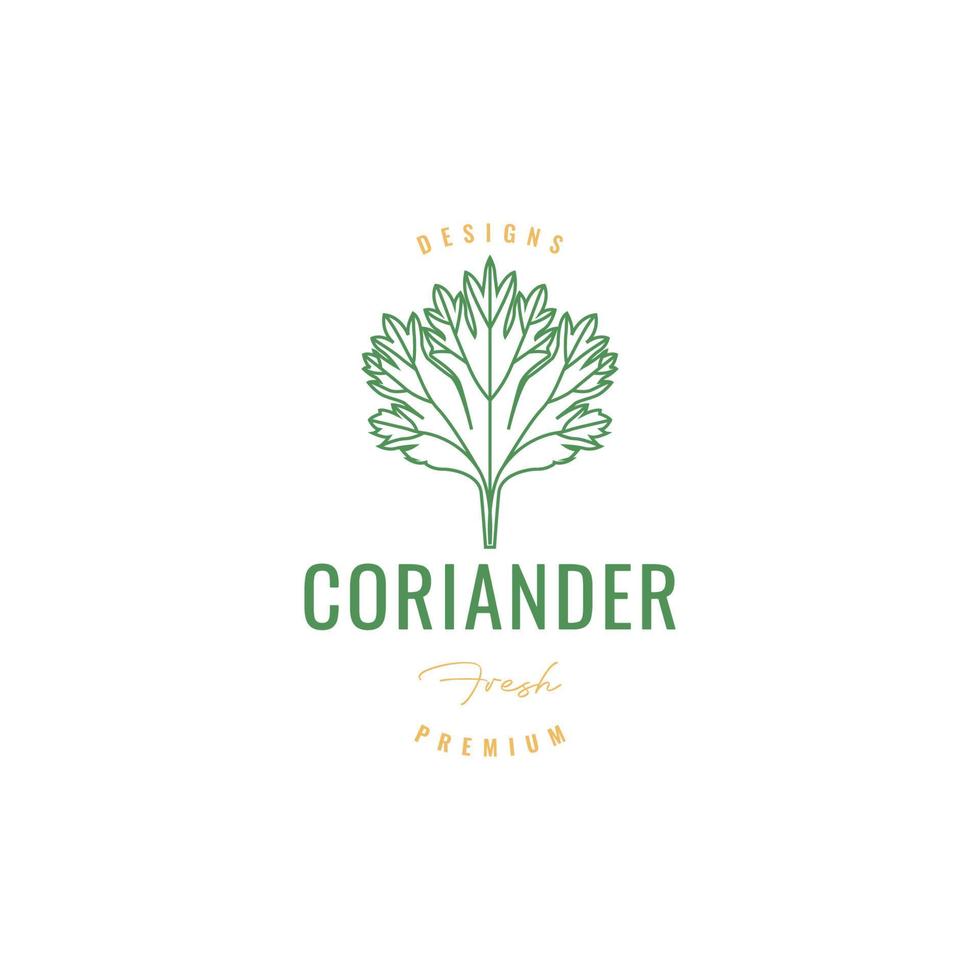 coriandre légumes cuisine nourriture menu épice hipster logo design vecteur icône illustration modèle