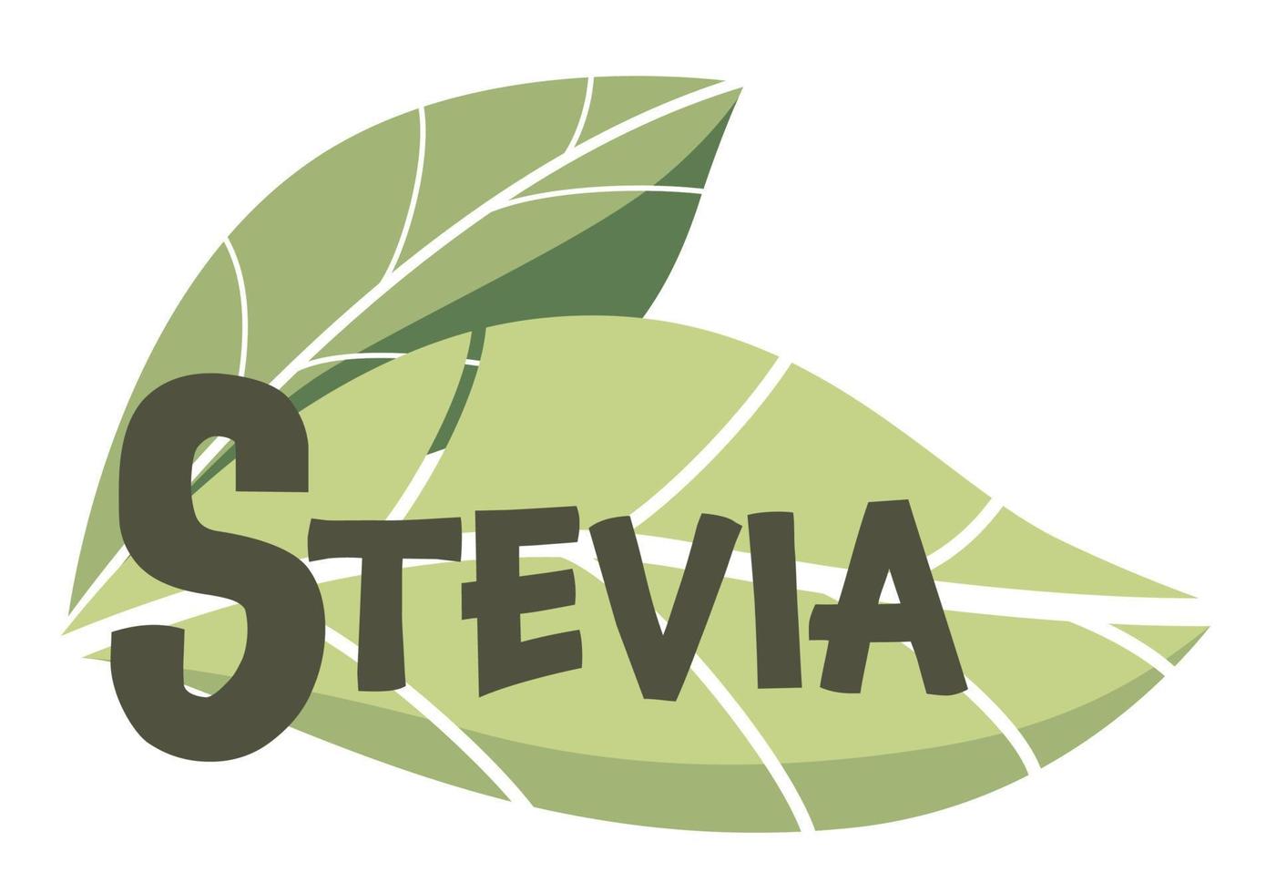 modèle de logo vectoriel édulcorant stevia. feuille verte de sucre