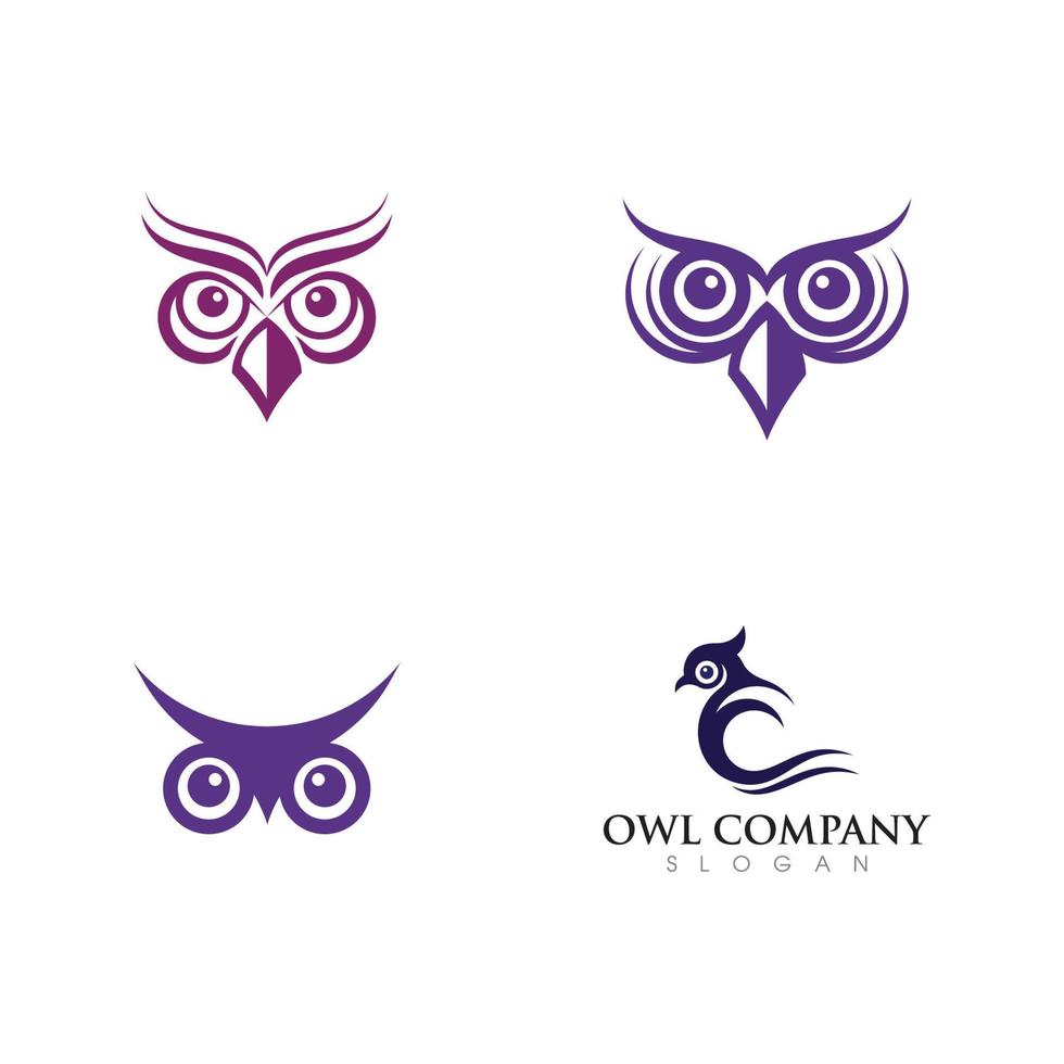 modèle de logo illustration hibou oiseau vecteur