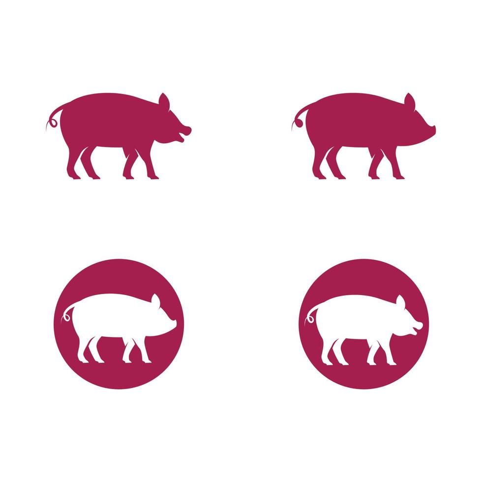 vecteur de modèle de logo de cochon