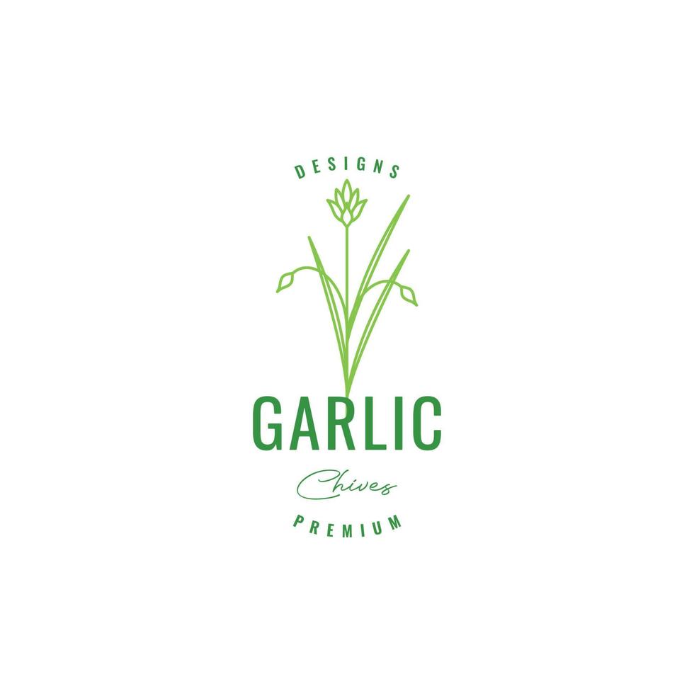 feuilles d'ail vert cuisine nourriture savoureuse épice hipster logo design vecteur icône illustration modèle