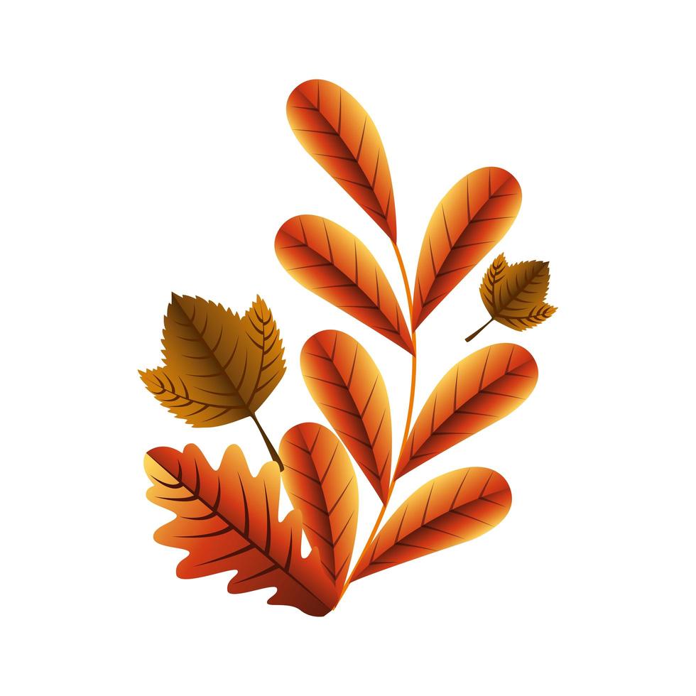 conception de vecteur de feuilles de saison automne