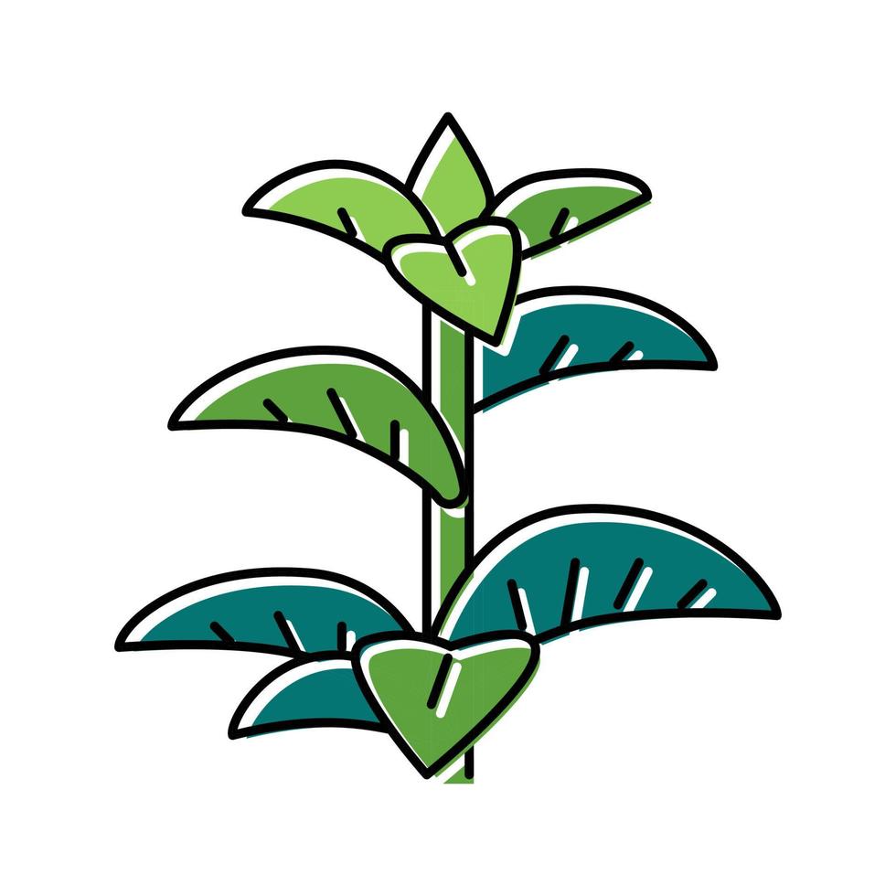 illustration vectorielle d'icône de couleur d'herbe de menthe poivrée vecteur
