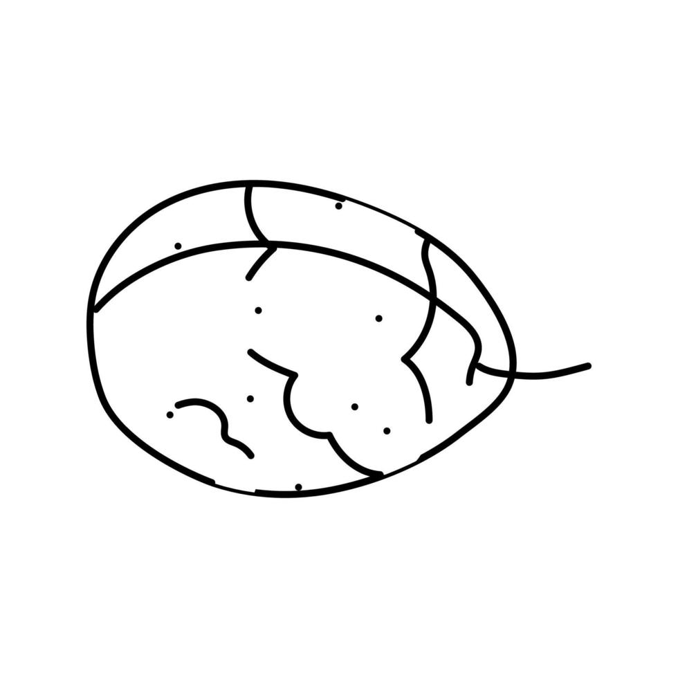 illustration vectorielle de l'icône de la ligne de fruits bleu prune vecteur