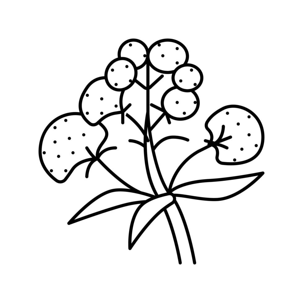 illustration vectorielle d'icône de ligne d'herbe médicale de valériane vecteur