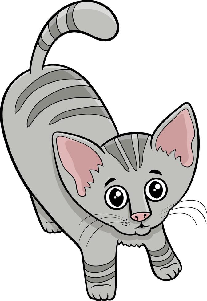 mignon chat tigré ou personnage animal de dessin animé chaton vecteur