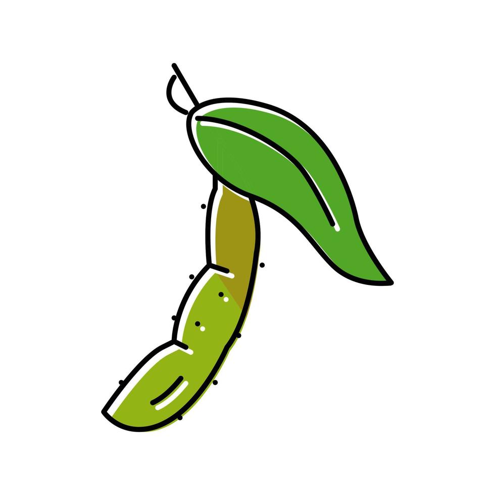 illustration vectorielle de feuille de soja couleur icône vecteur