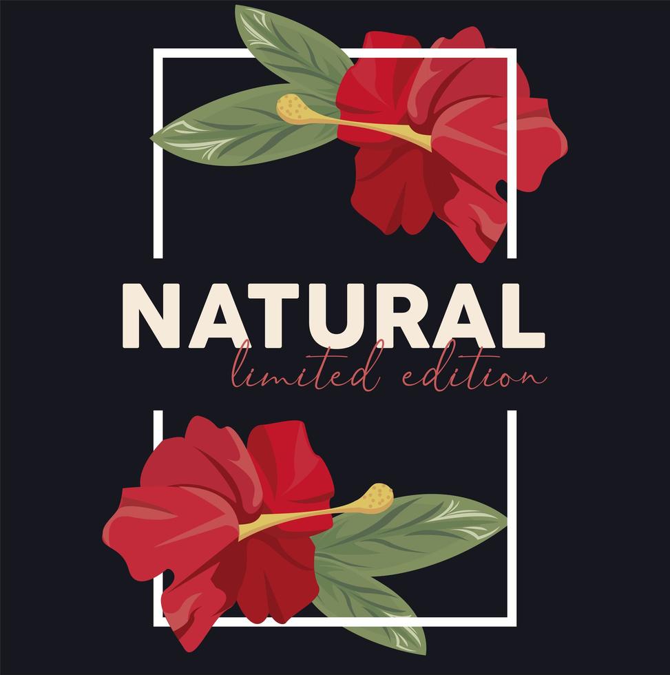 affiche de cadre rectangle floral avec mot naturel vecteur