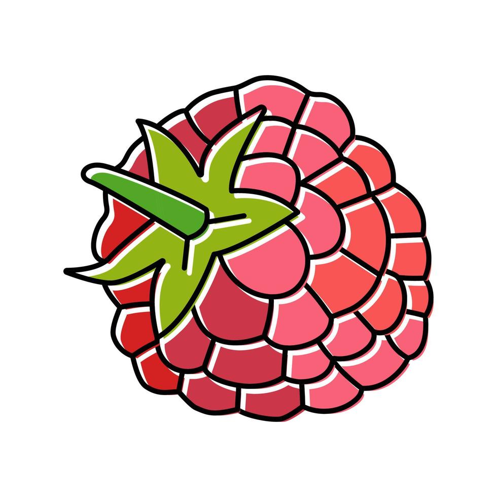 framboise feuille berry couleur icône illustration vectorielle vecteur