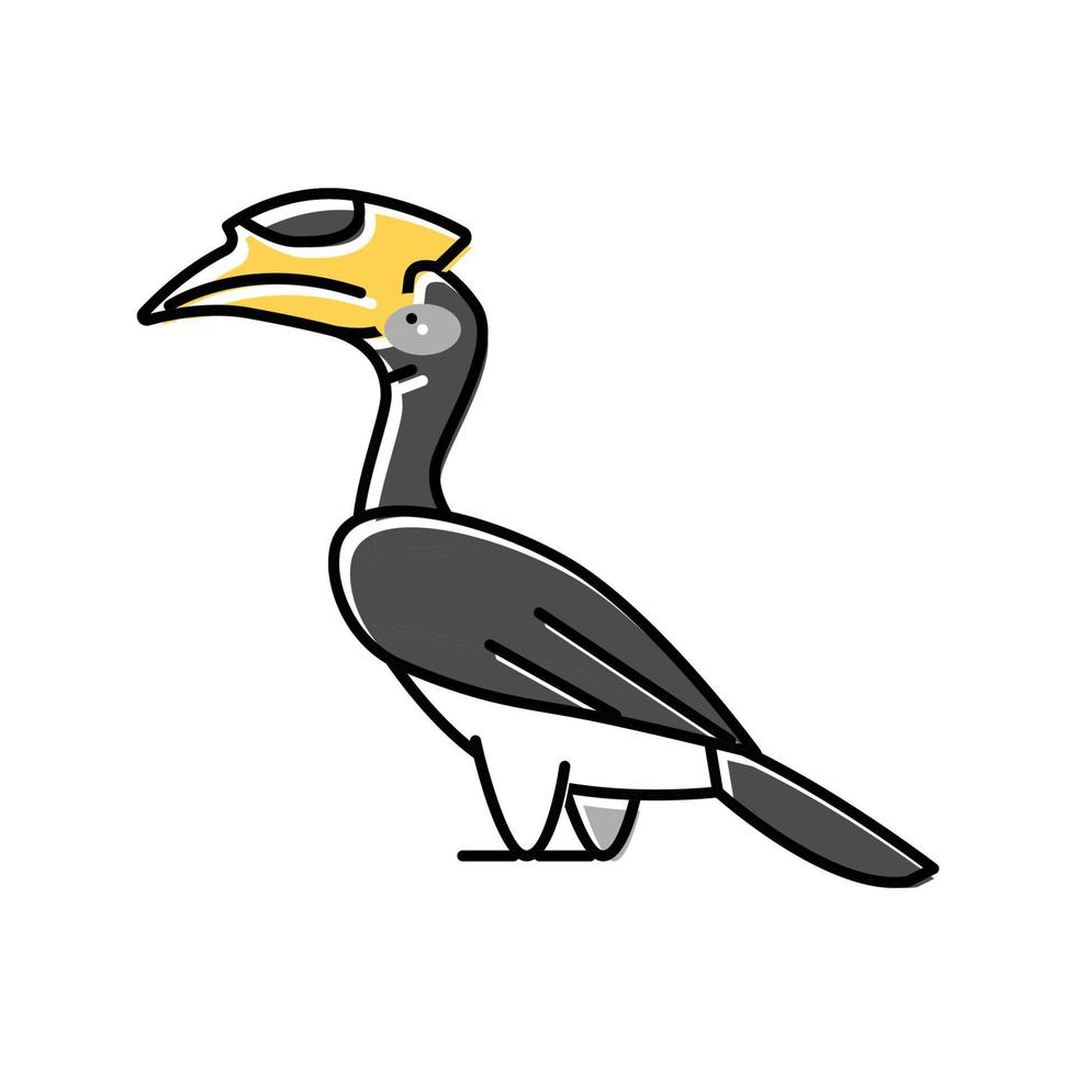 malabar pied calao oiseau couleur exotique icône illustration vectorielle vecteur