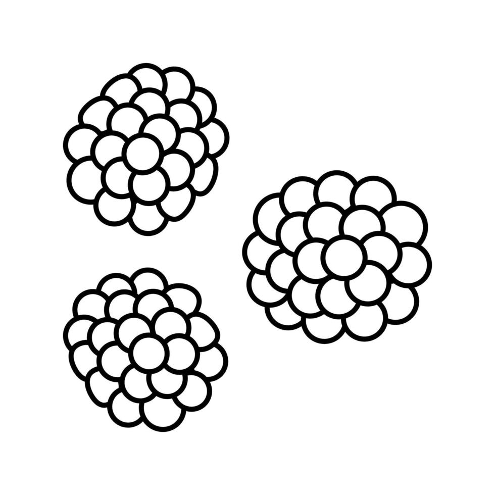 illustration vectorielle de l'icône de la ligne de mûre de baies juteuses vecteur