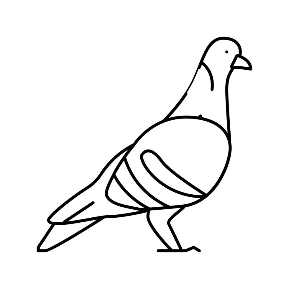 pigeon oiseau ligne icône illustration vectorielle vecteur