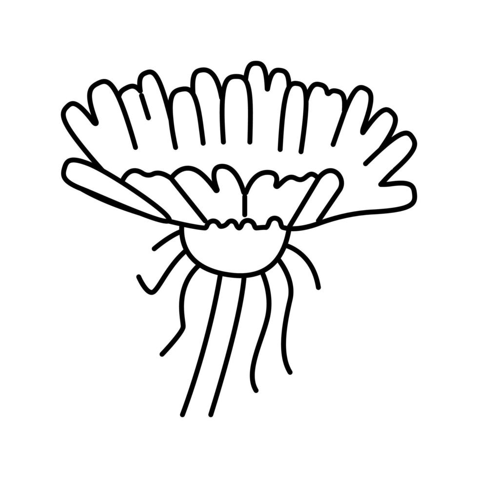 pissenlit fleur bourgeon ligne icône illustration vectorielle vecteur