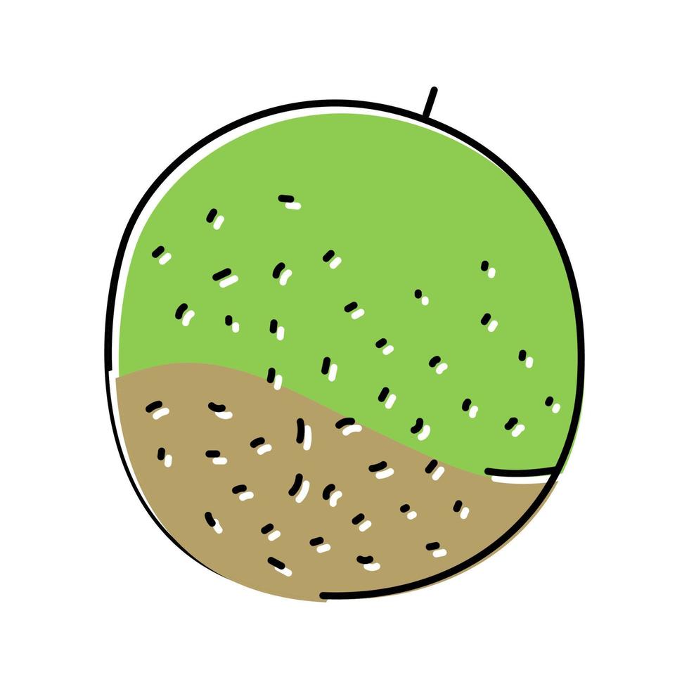 melon vert cantaloup couleur icône illustration vectorielle vecteur