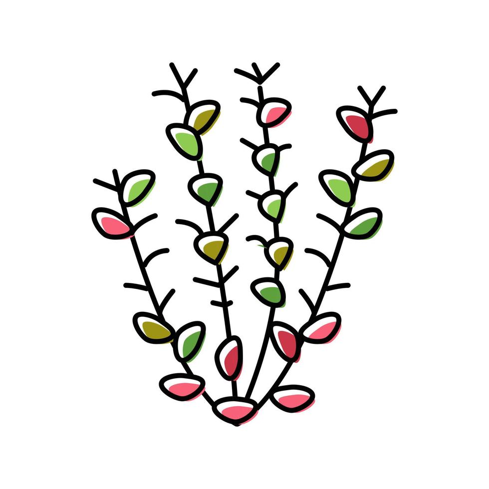 illustration vectorielle d'icône de couleur ludwigia rouge vecteur