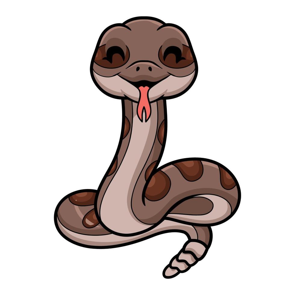 dessin animé mignon de serpent à sonnette sur fond blanc vecteur