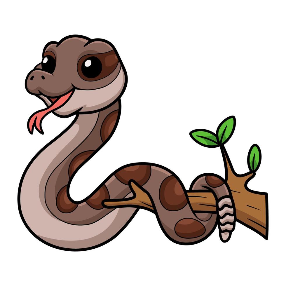 dessin animé mignon de serpent à sonnette sur une branche d'arbre vecteur