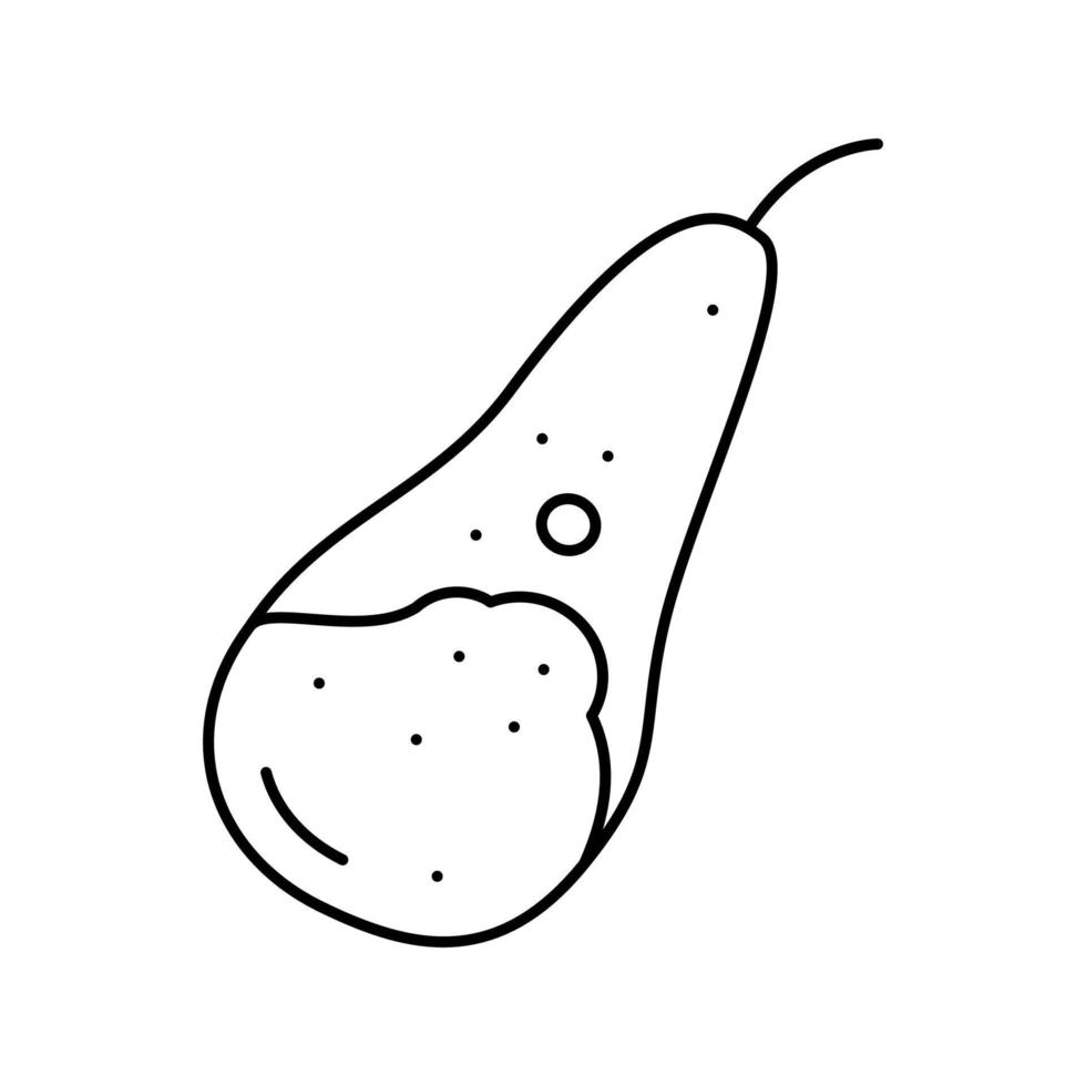 illustration vectorielle de l'icône de la ligne entière de la conférence des poires vecteur