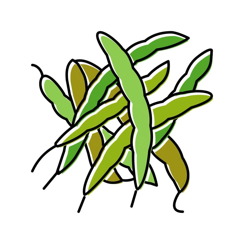 haricot vert couleur naturelle icône illustration vectorielle vecteur