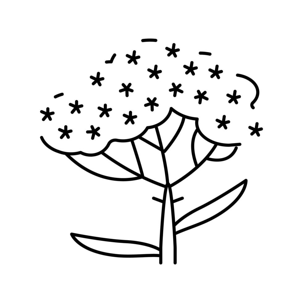 illustration vectorielle de l'icône de la ligne des plantes millefeuille vecteur