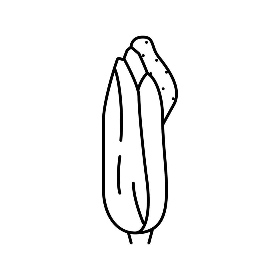 illustration vectorielle de l'icône de la ligne de l'usine d'épis de maïs vecteur