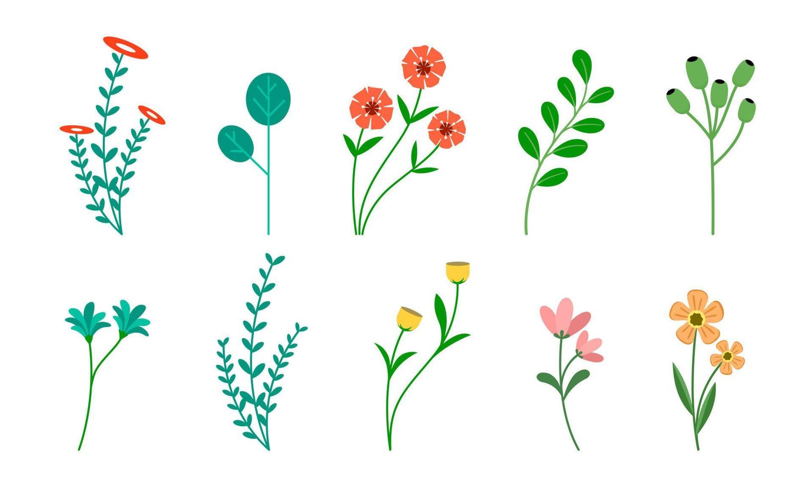 ensemble de fleurs sauvages. collection de jardins de fleurs. plantes médicinales aux fleurs colorées. les fleurs sont isolées sur un fond blanc. illustration vectorielle vecteur