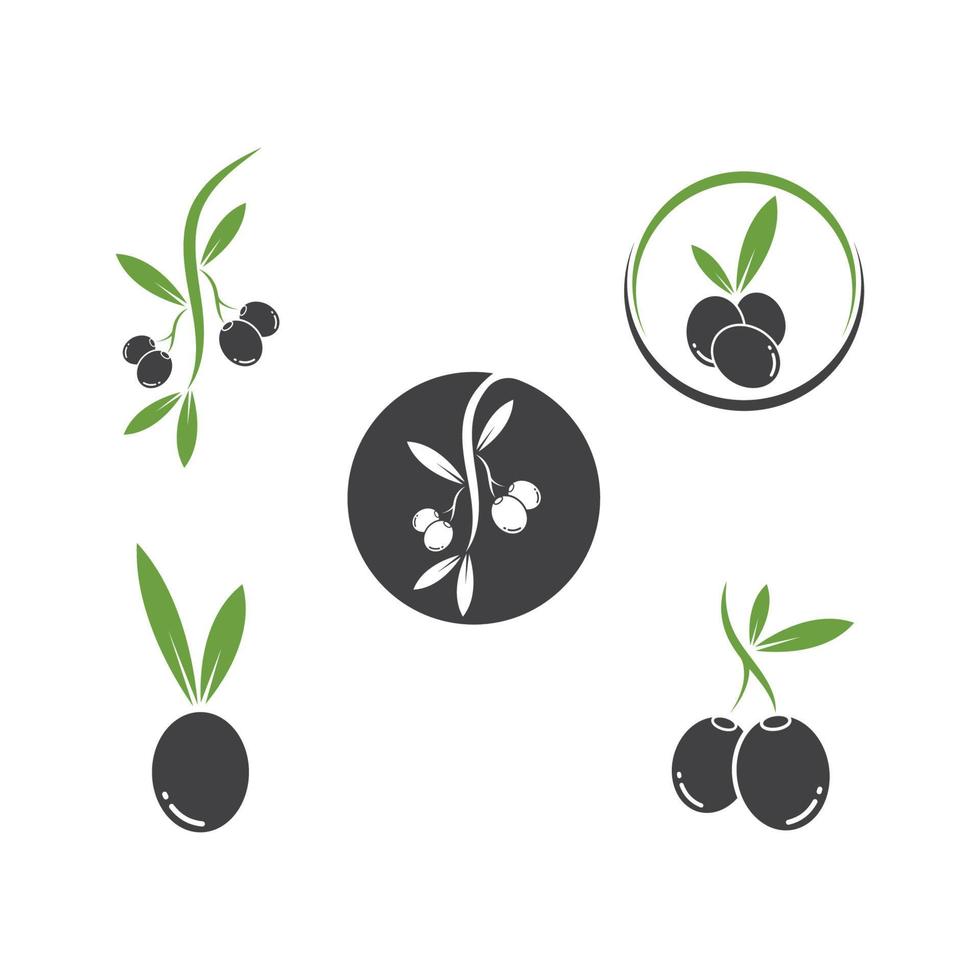 illustration vectorielle d'olive logo icône vecteur