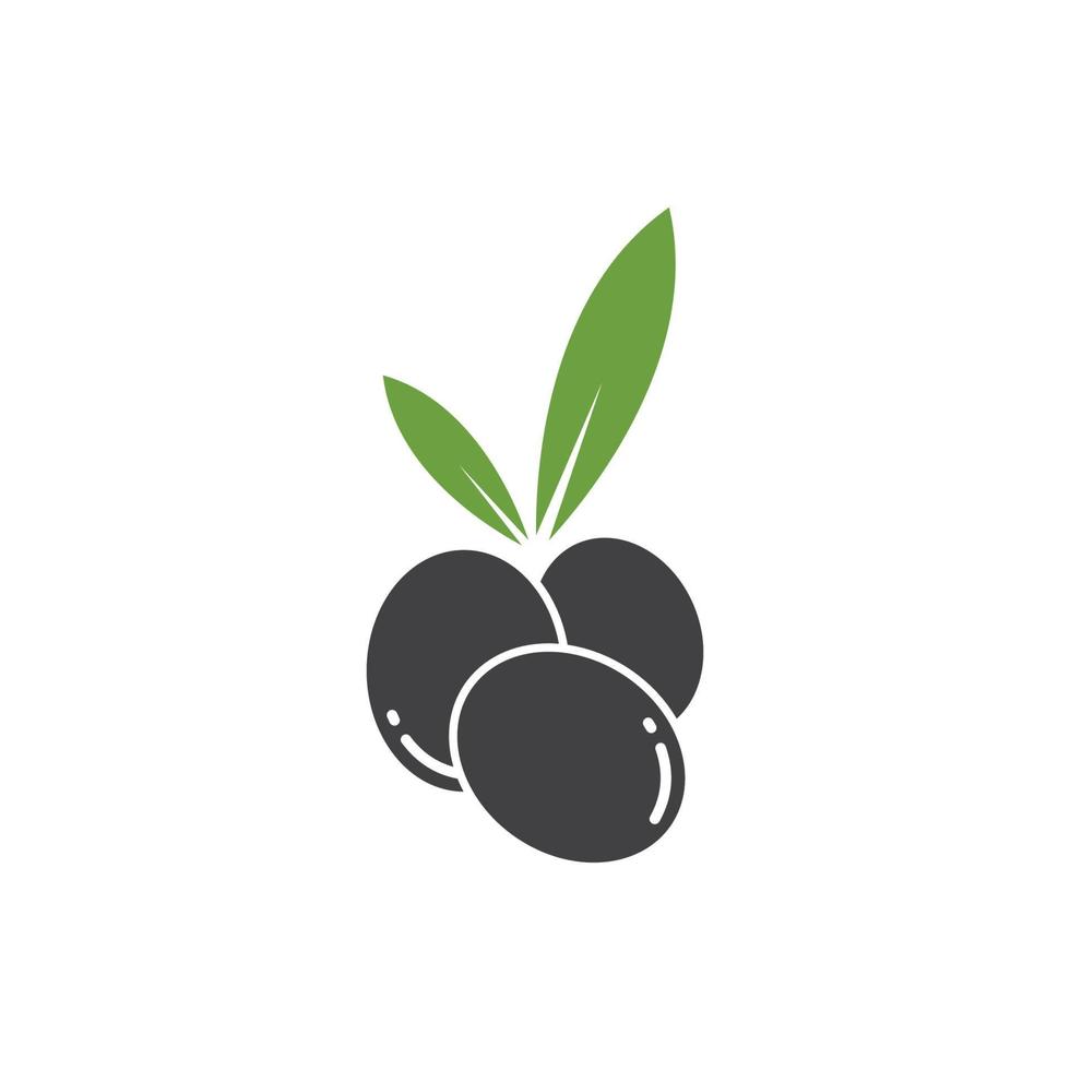 illustration vectorielle d'olive logo icône vecteur